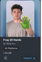 Frog 3D Hands