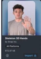 Skeleton 3D Hands